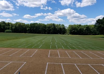 University Of Connecticut