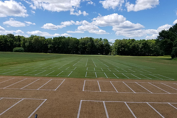 University Of Connecticut